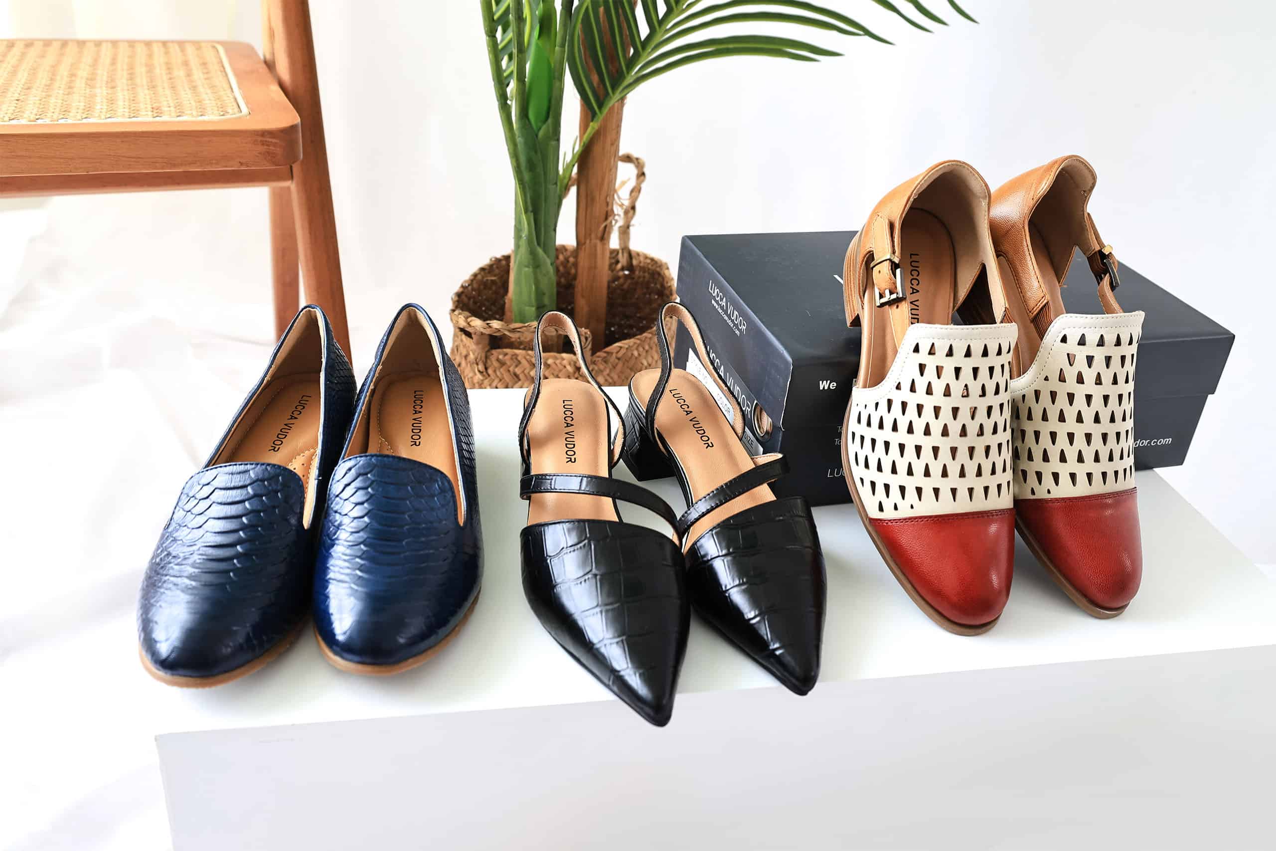 Slipper Supply Store -Slipper Supply Store Banner 0000s 0001 Lucca Vudor 17