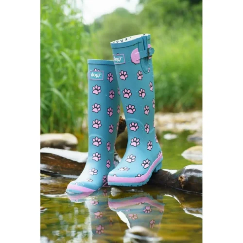 Cookie Welly Teal